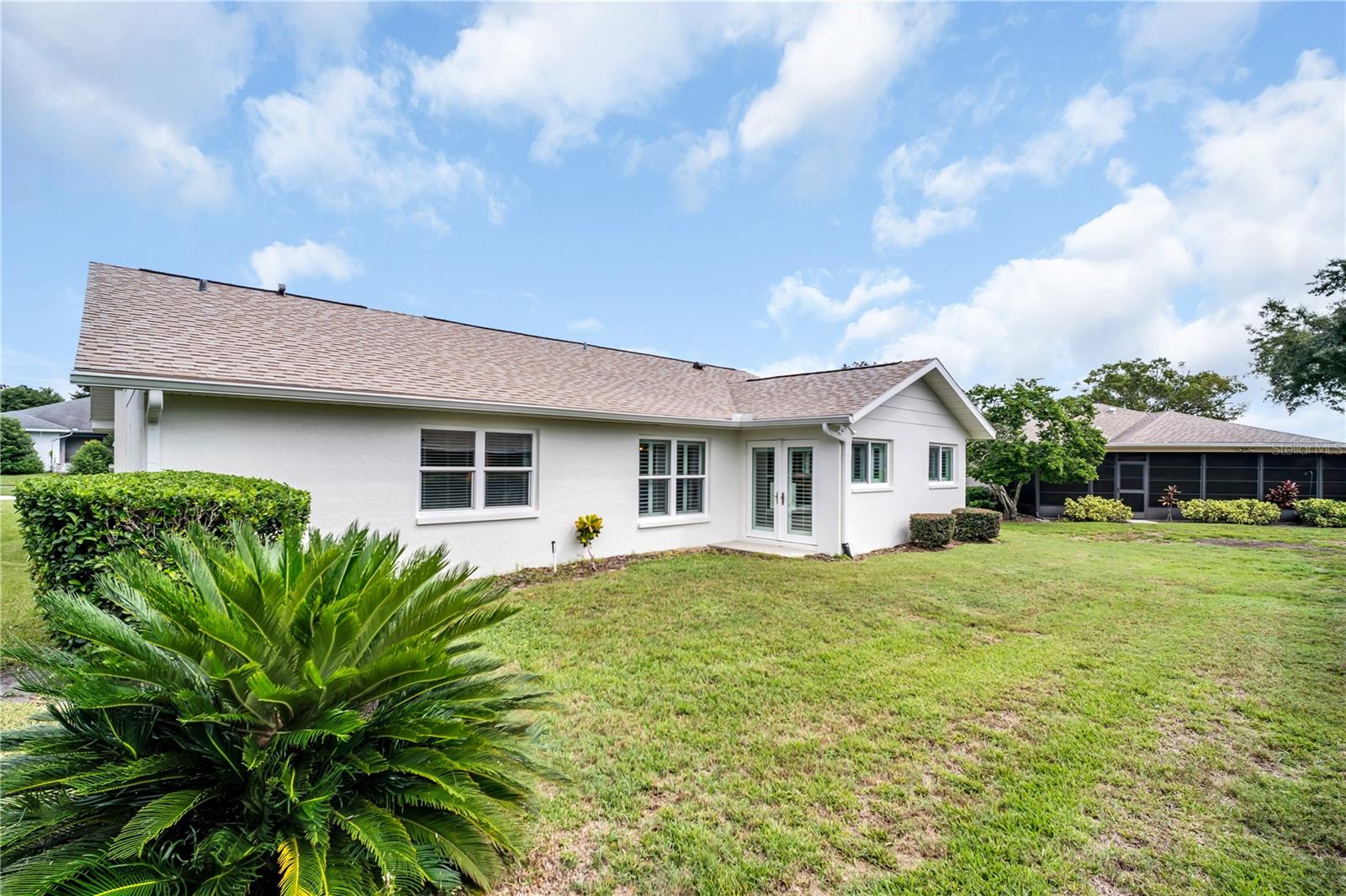 Single-story white house with glass doors, a broad lawn, and a large sago palm in the foreground.