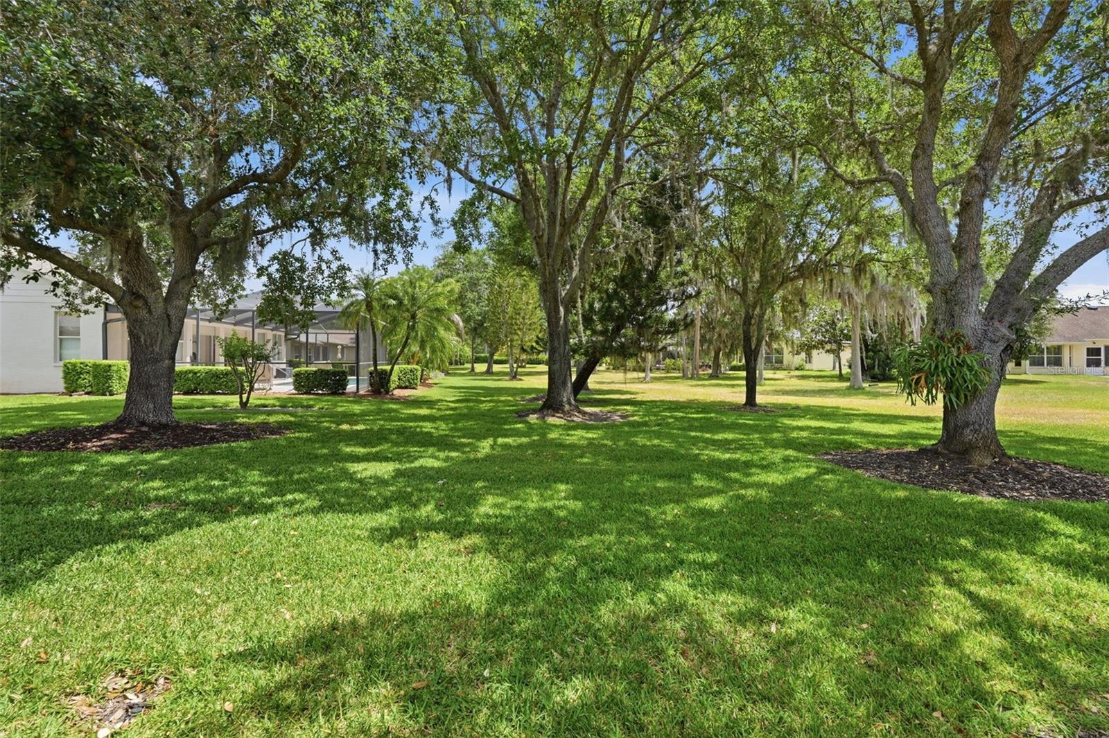 Tree-shaded backyard with a broad lawn and screened lanai.