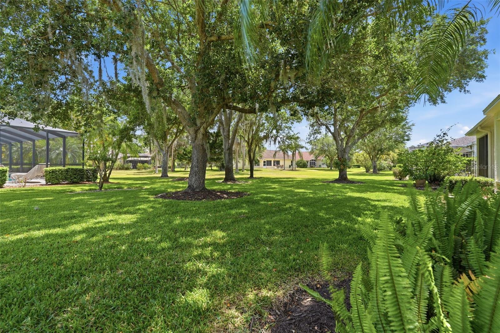 Shaded backyard lawn with mature trees and a screened pool enclosure.