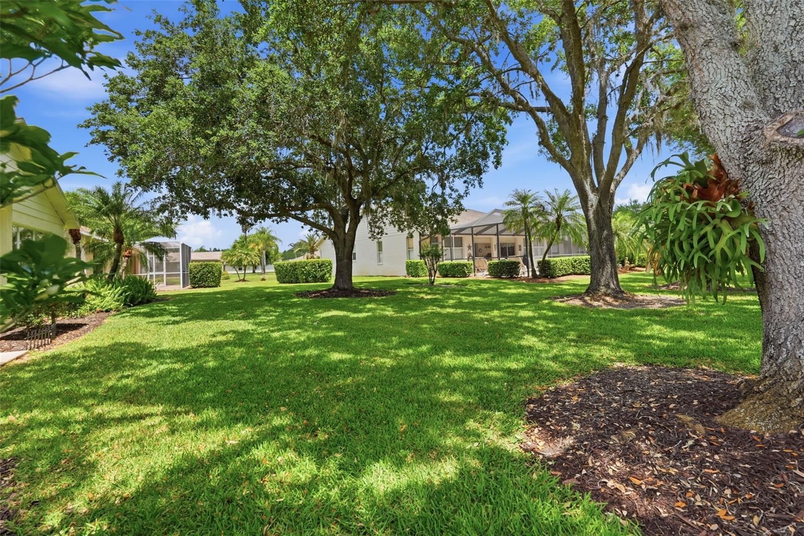 Backyard with a wide lawn, mature shade trees, and a screened lanai behind the home.