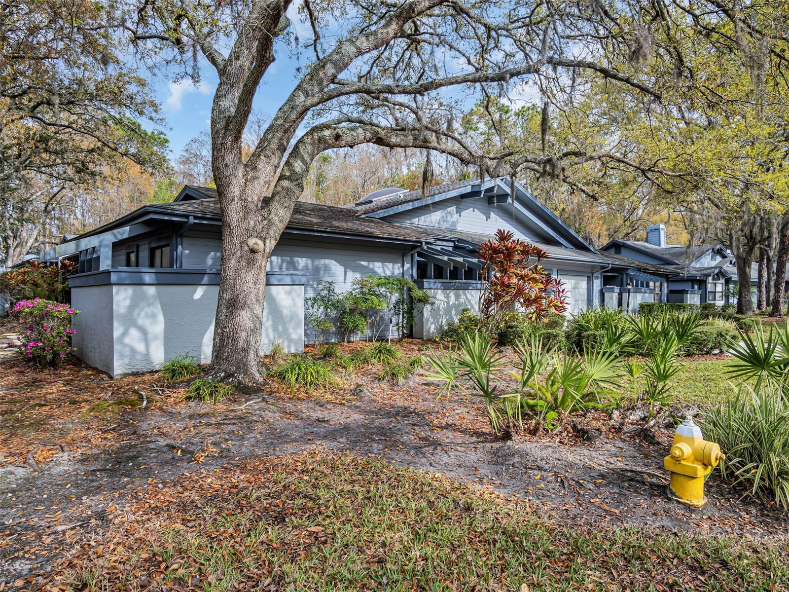 175 PINEWINDS BLVD