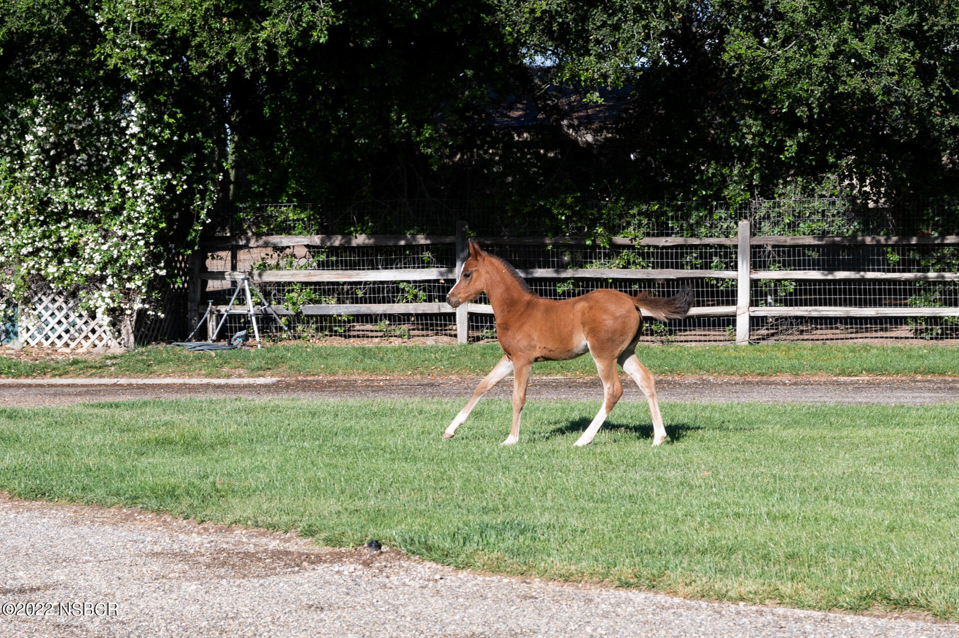 3331 Baseline Avenue