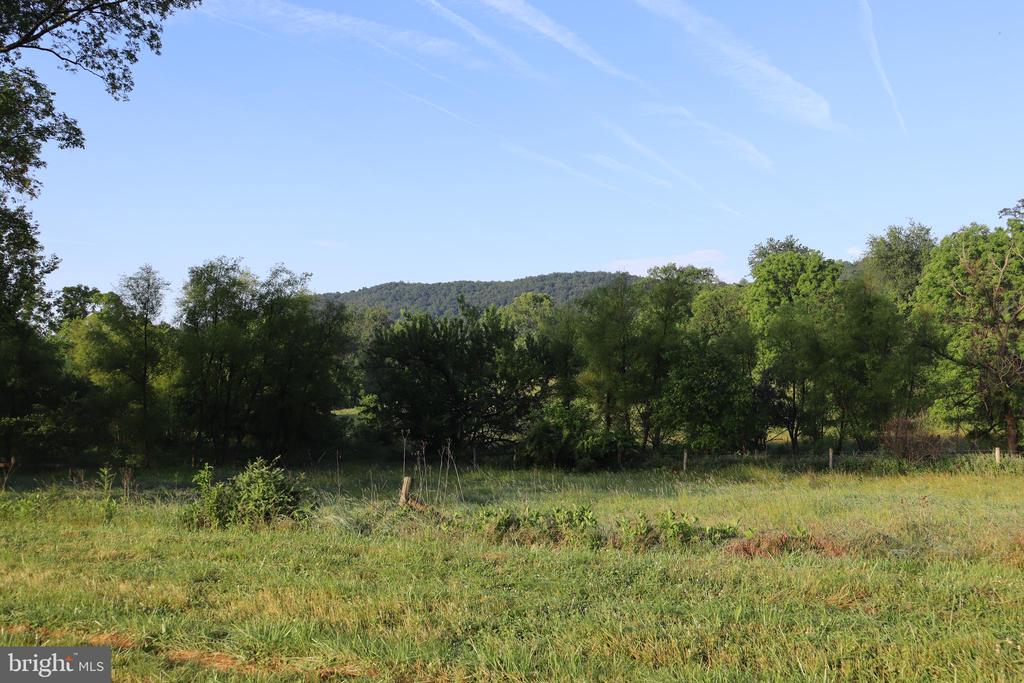 1901 MISTY MEADOWS LANE