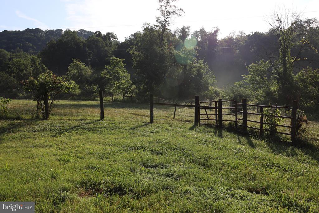 1901 MISTY MEADOWS LANE