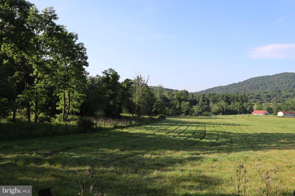 1901 MISTY MEADOWS LANE