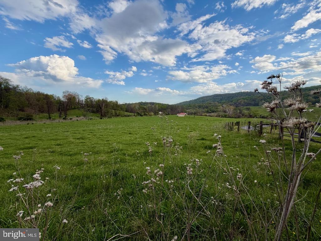 1901 MISTY MEADOWS LANE
