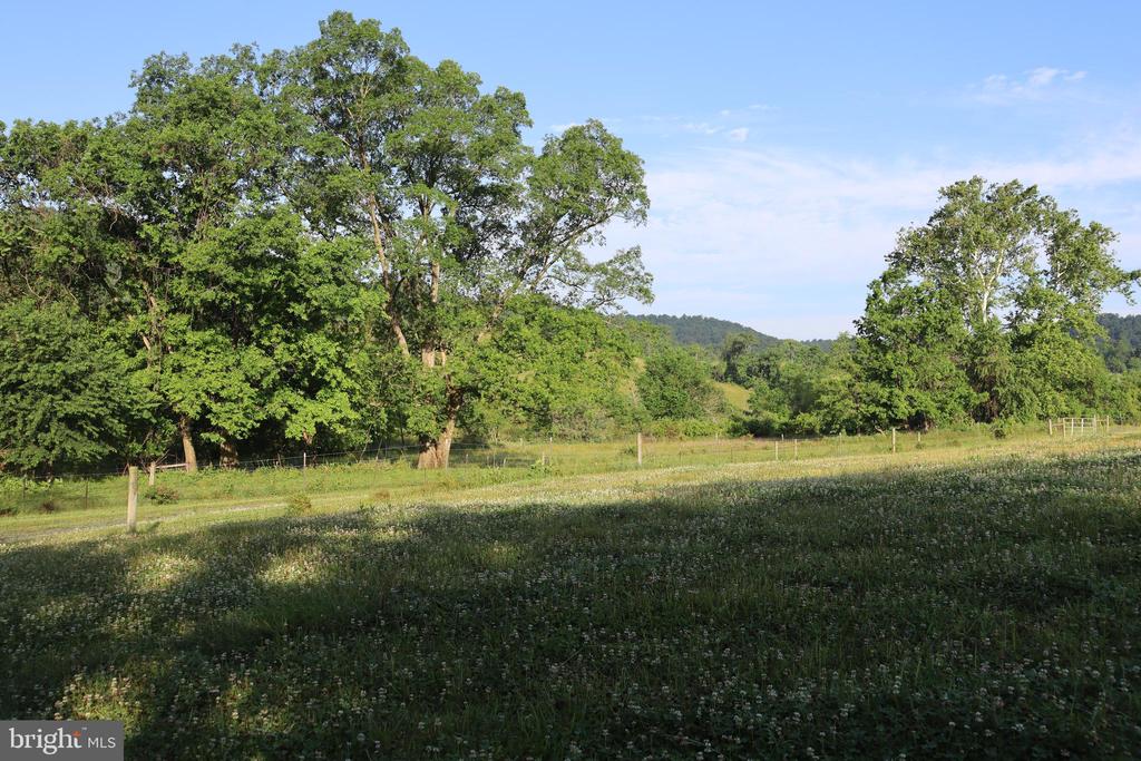1901 MISTY MEADOWS LANE