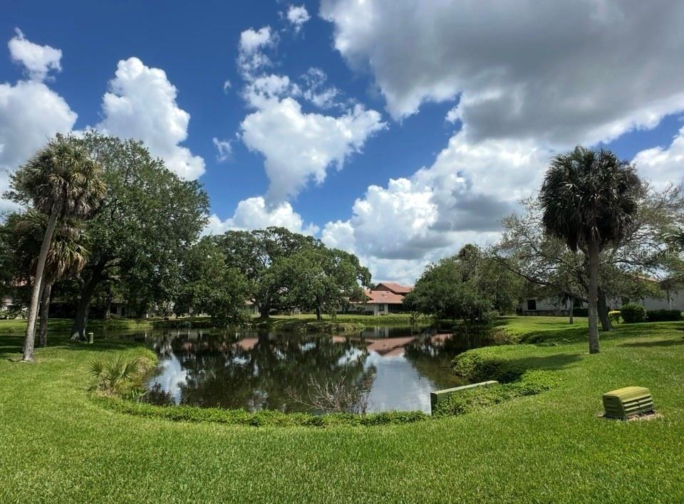 3862 WILSHIRE CIR W #107