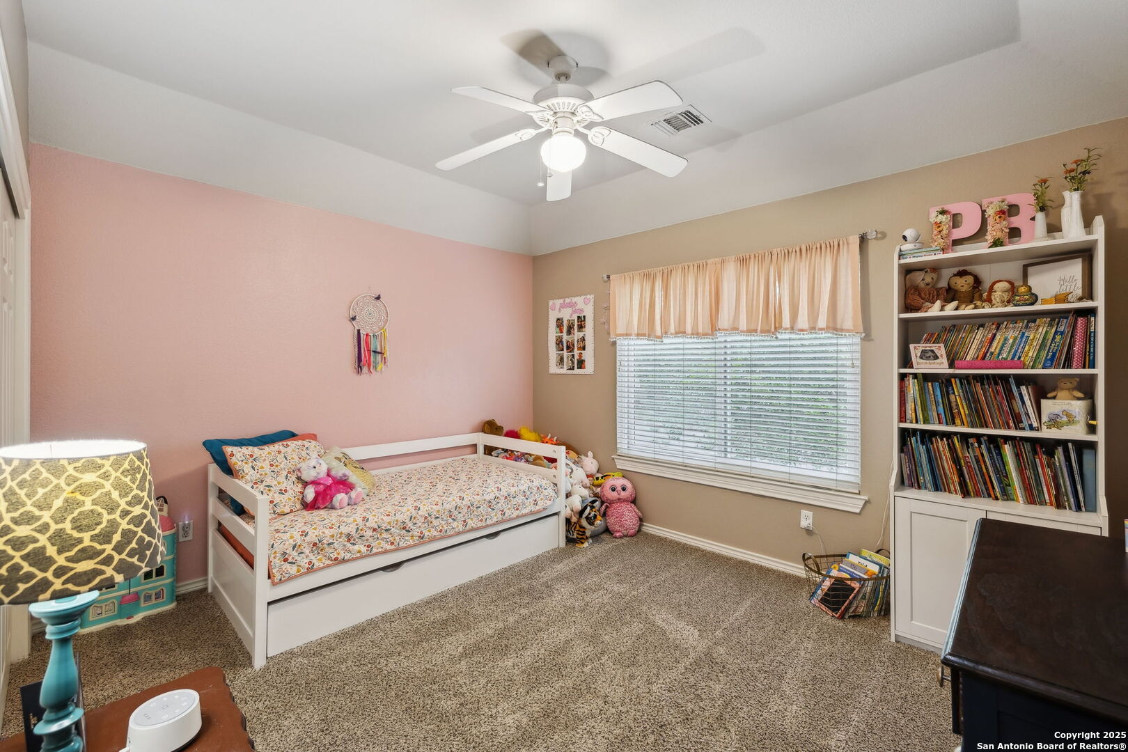 17119 Blanco Park Cove