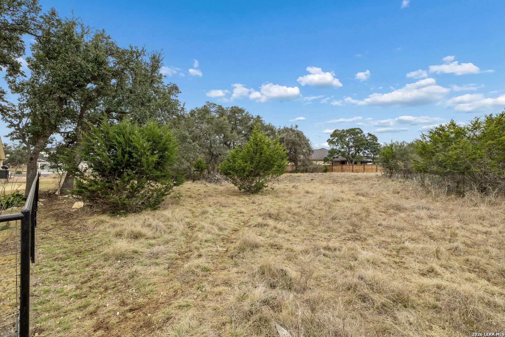 Vacant grassy lot with mature trees, shrubs, and a metal fence along one side.