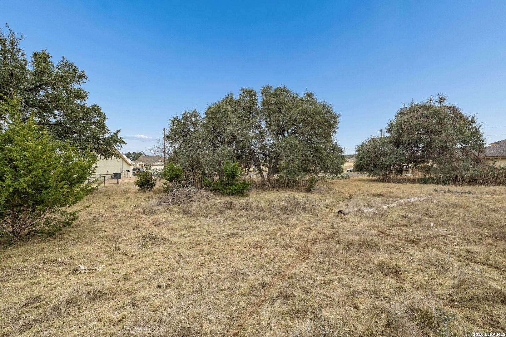 Vacant grassy lot with mature trees and neighboring homes beneath a clear blue sky.