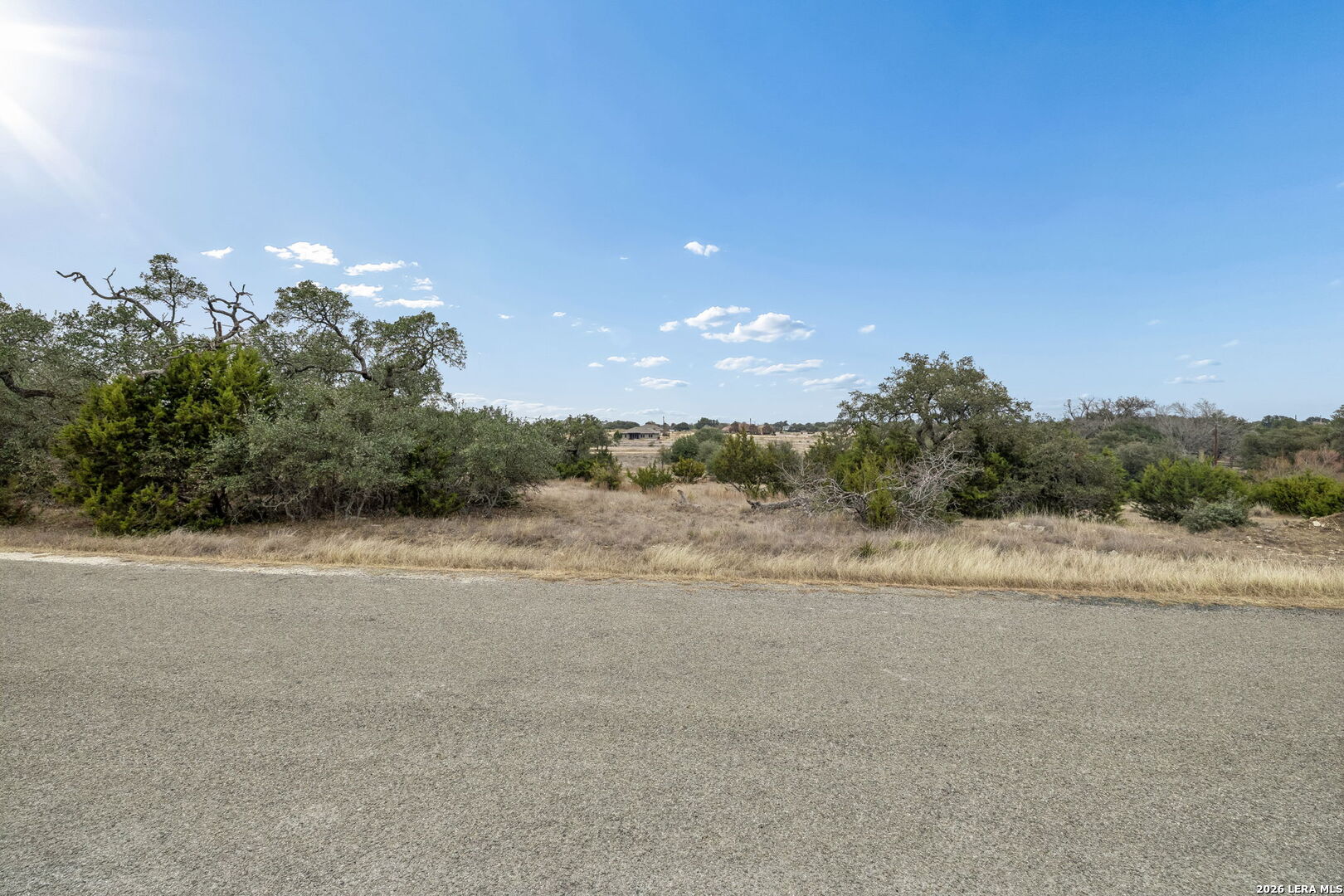 Rural land with scattered trees and brush beyond a paved road.