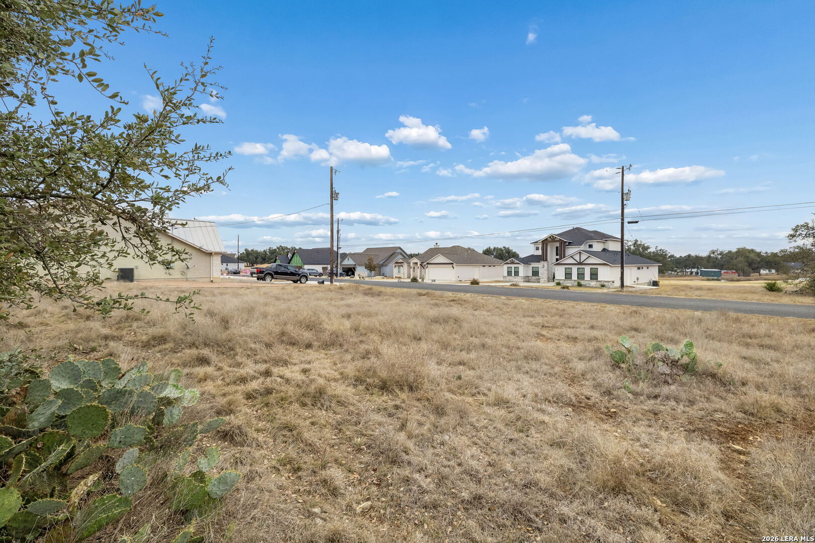 Open grassy lot with prickly pear cactus in the foreground and neighboring homes across the road.