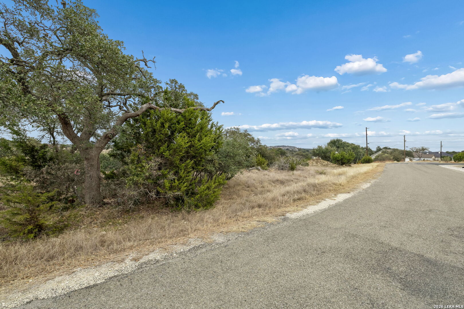 Vacant roadside lot with mature trees, dry grass, and a paved road.