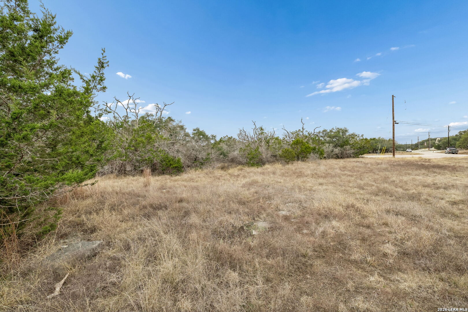 Vacant grassy lot bordered by trees, with a road and utility poles in the distance.