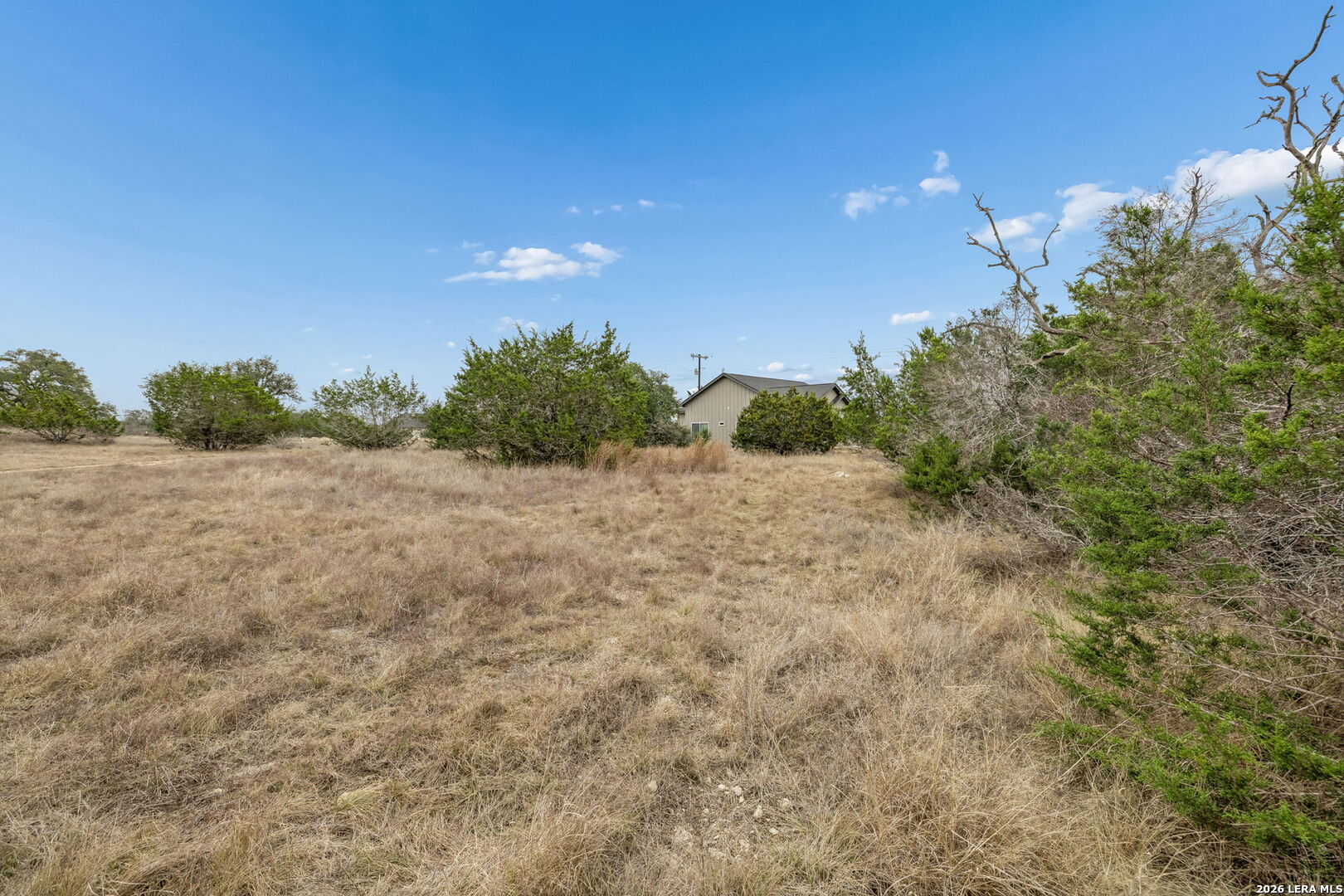 Dry grassy lot with scattered trees and a small building partly hidden in the distance.