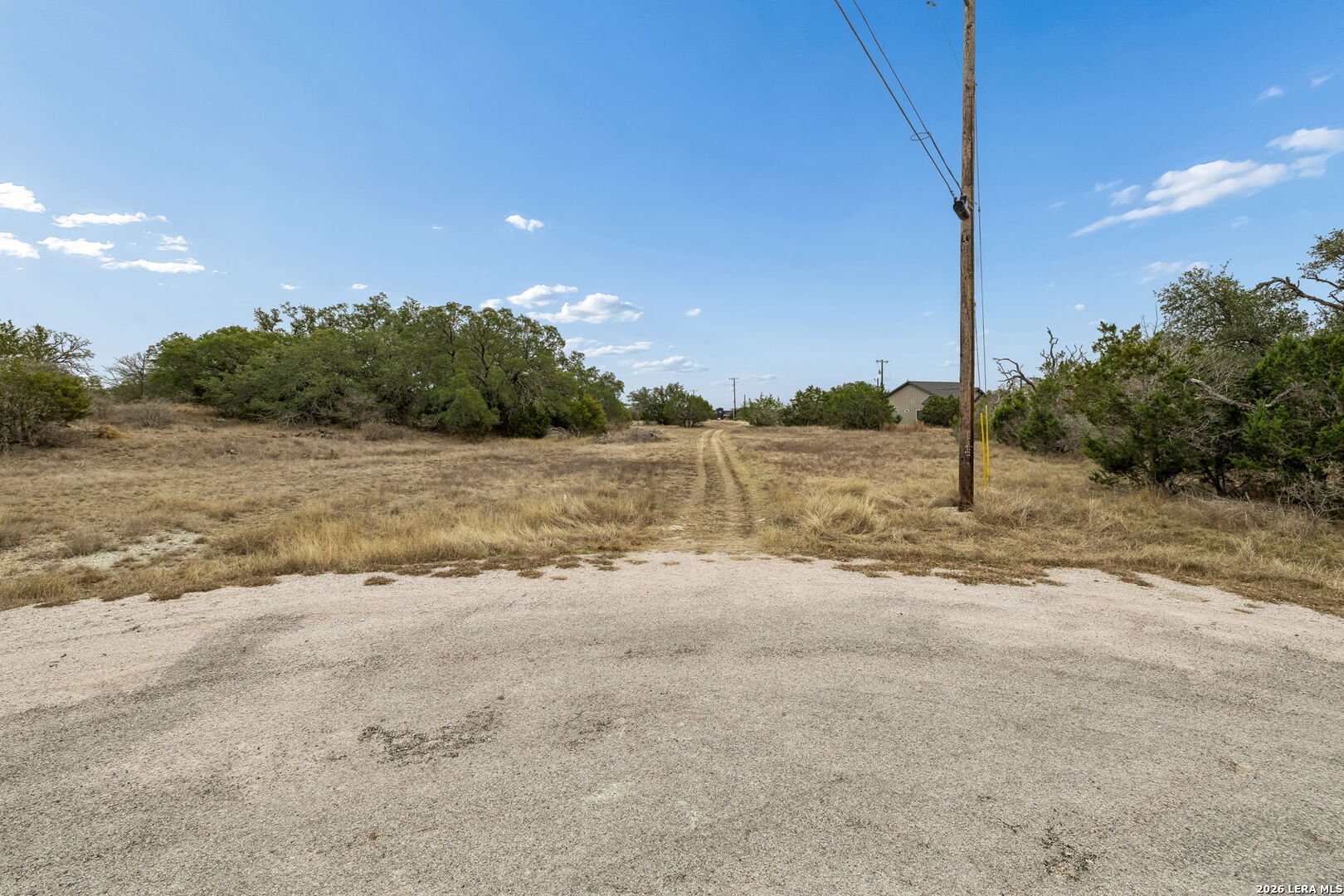 Vacant grassy lot with a dirt track, scattered trees, and a utility pole beside a gravel road.