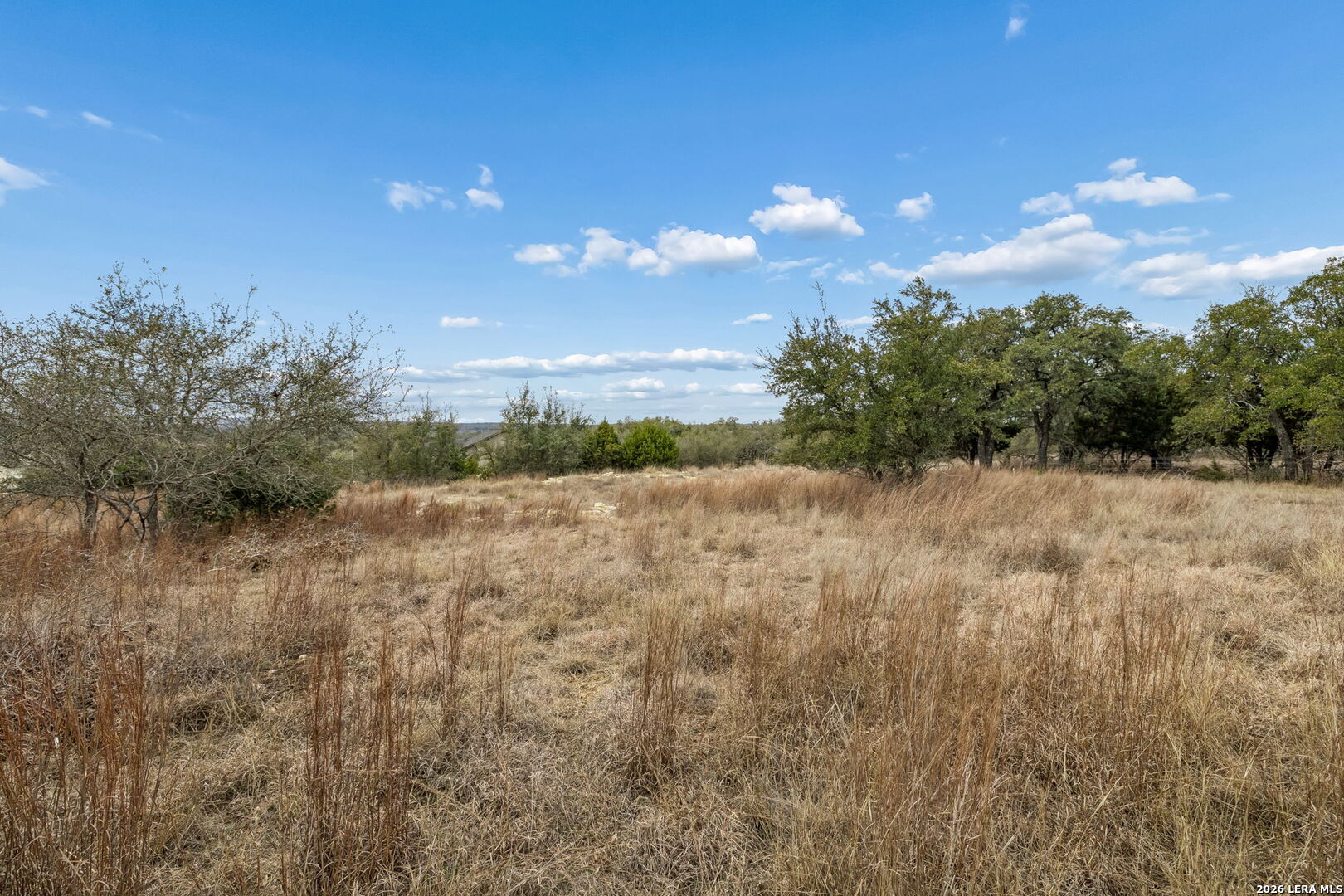 Open rural lot with dry grasses and scattered trees beneath a bright blue sky.