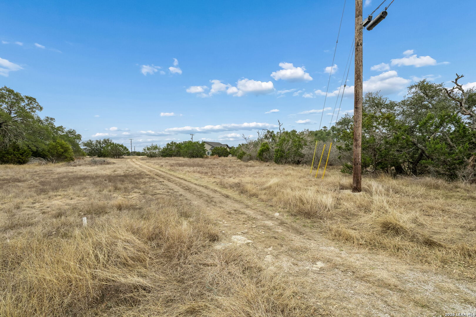 Rural vacant lot with a dirt track through dry grass and a utility pole.