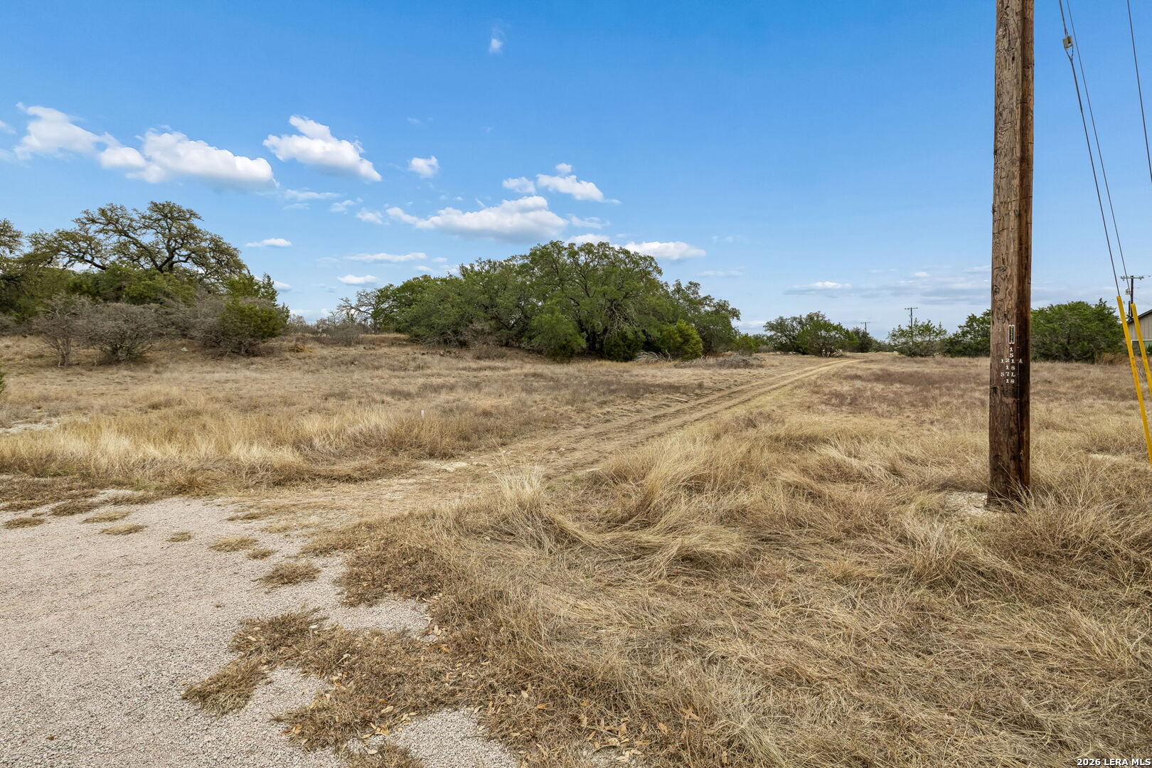 Vacant grassy lot with a gravel track, scattered trees, and a utility pole.
