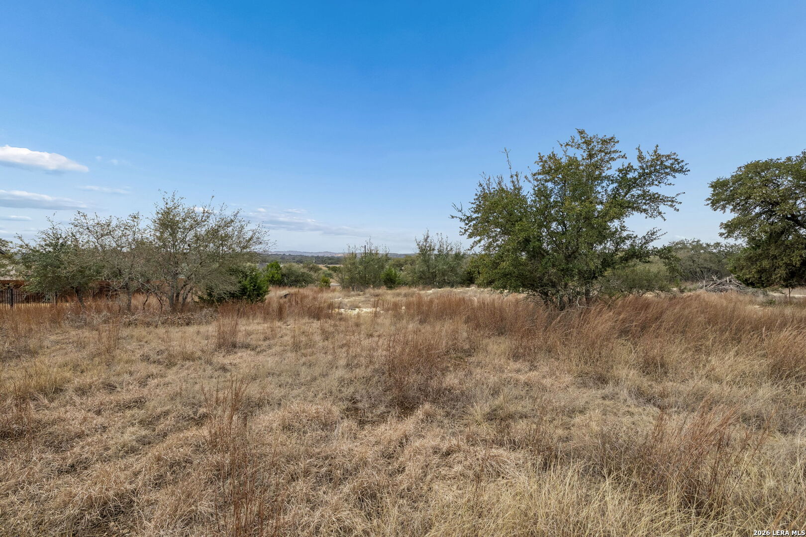 Vacant rural lot with dry grass, scattered trees, and distant low hills.