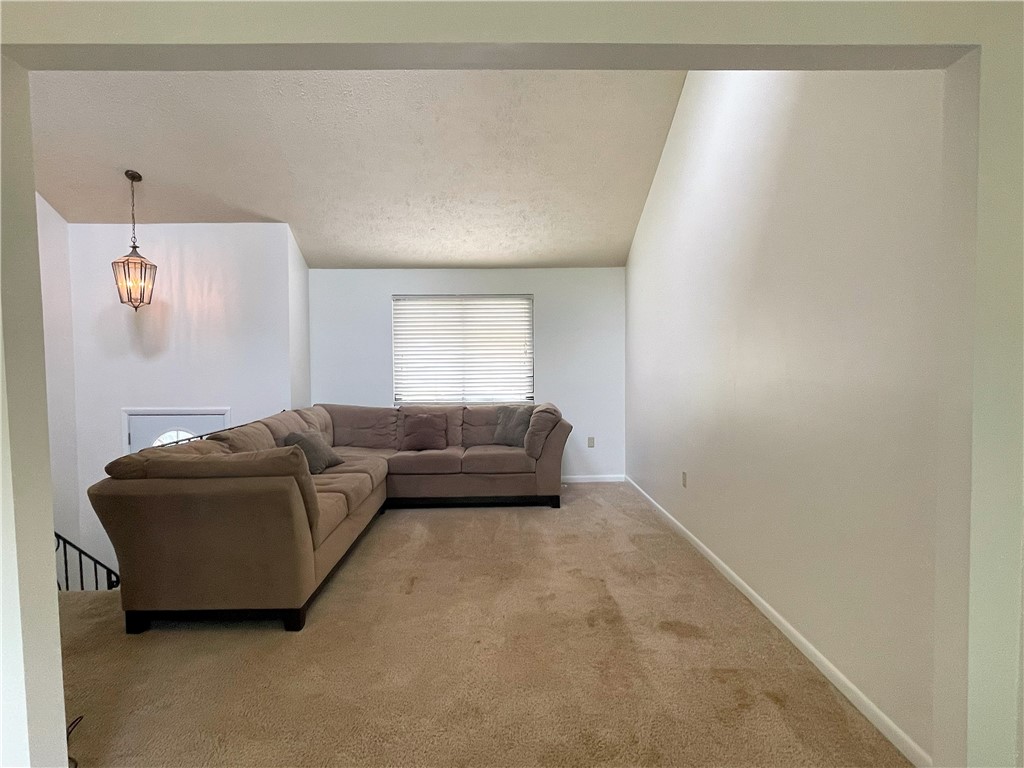 100 Sugar Maple Cir