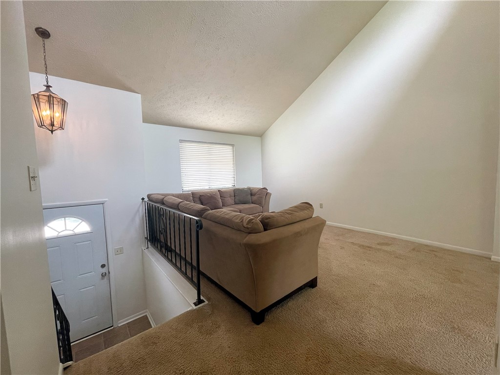 100 Sugar Maple Cir