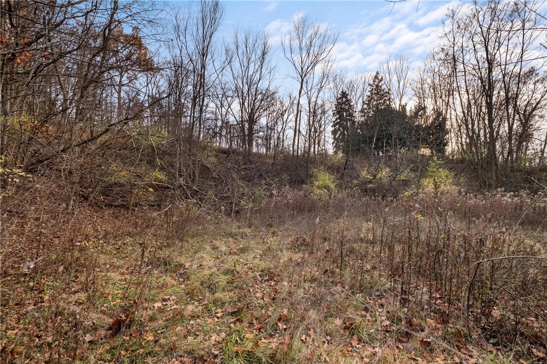 297 GLADE MILLS ROAD