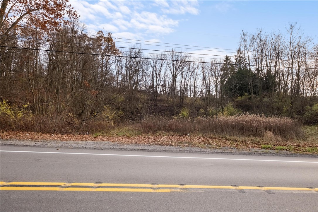 297 GLADE MILLS ROAD