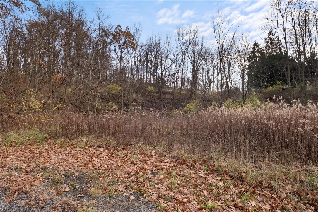 297 GLADE MILLS ROAD