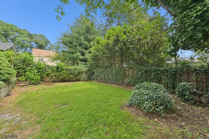 350 Walnut St