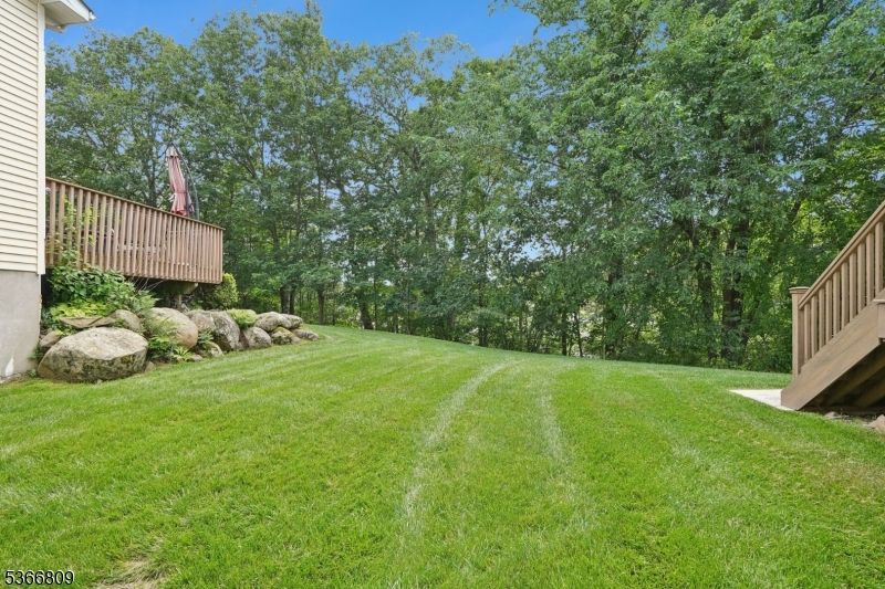 71 Butternut Dr