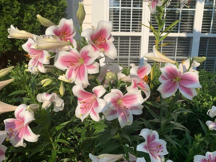 7300 Birch Point Dr Unit#7300