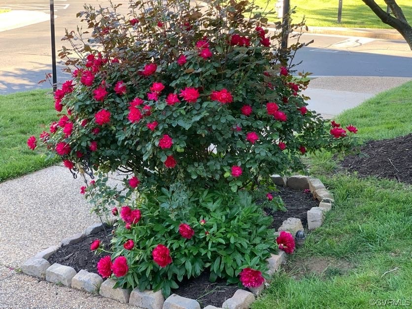 7300 Birch Point Dr Unit#7300