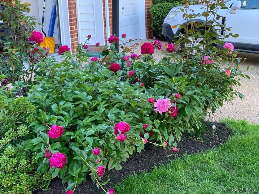 7300 Birch Point Dr Unit#7300