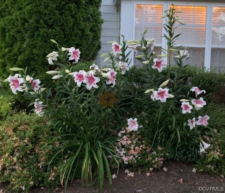 7300 Birch Point Dr Unit#7300