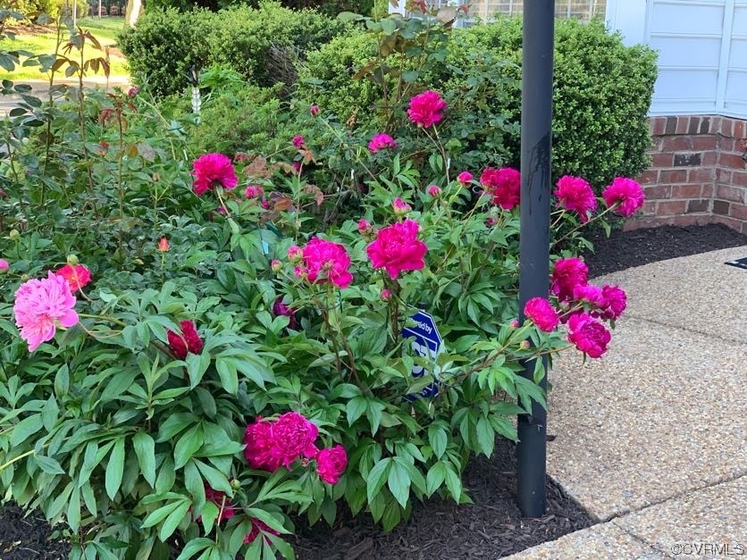 7300 Birch Point Dr Unit#7300