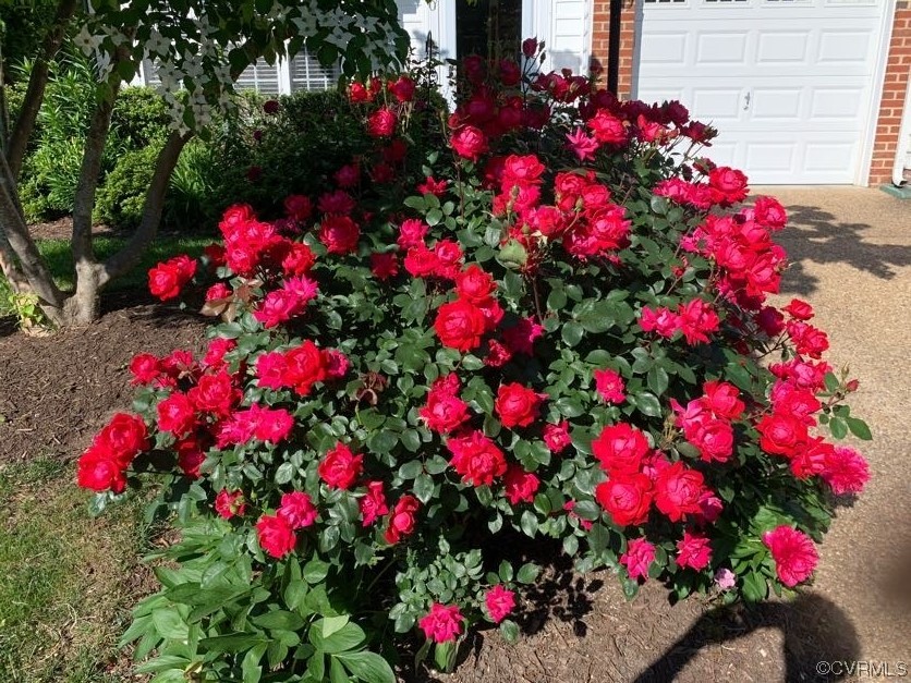 7300 Birch Point Dr Unit#7300