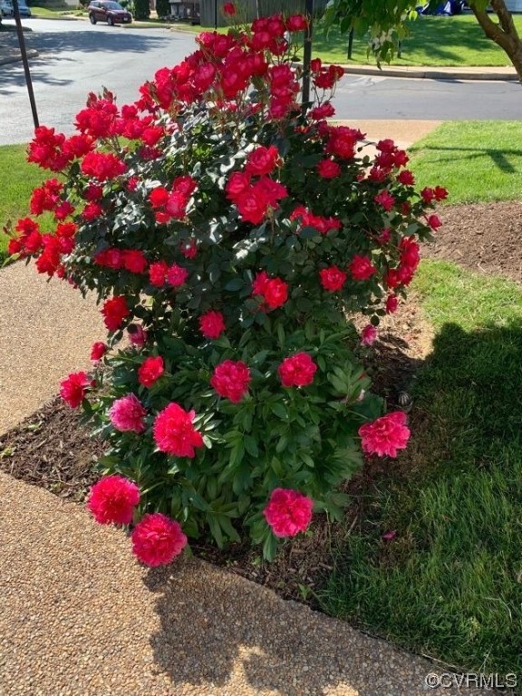 7300 Birch Point Dr Unit#7300