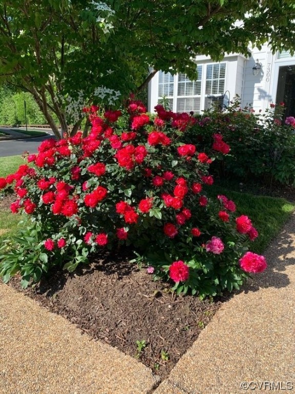 7300 Birch Point Dr Unit#7300