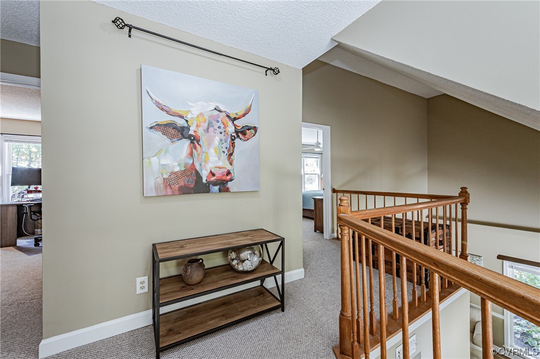 2908 Cove Ridge Trce