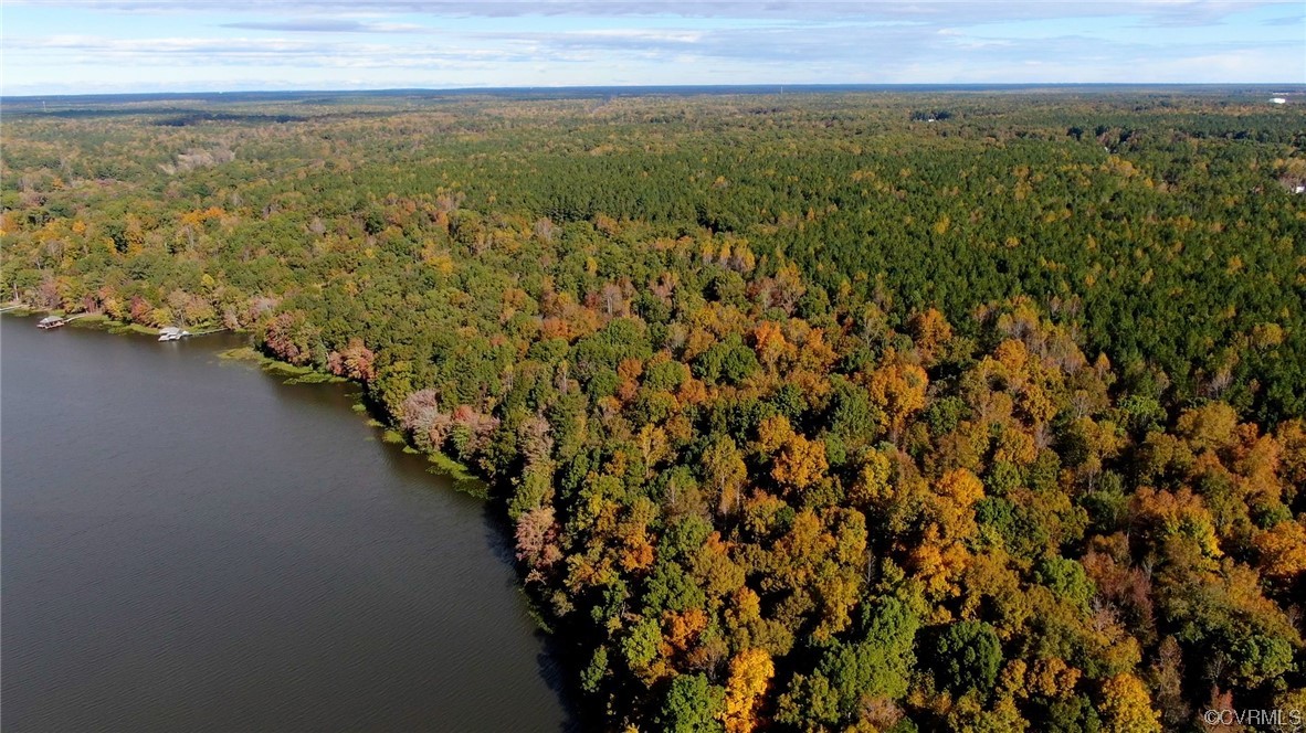 15825 Chesdin Bluff Dr