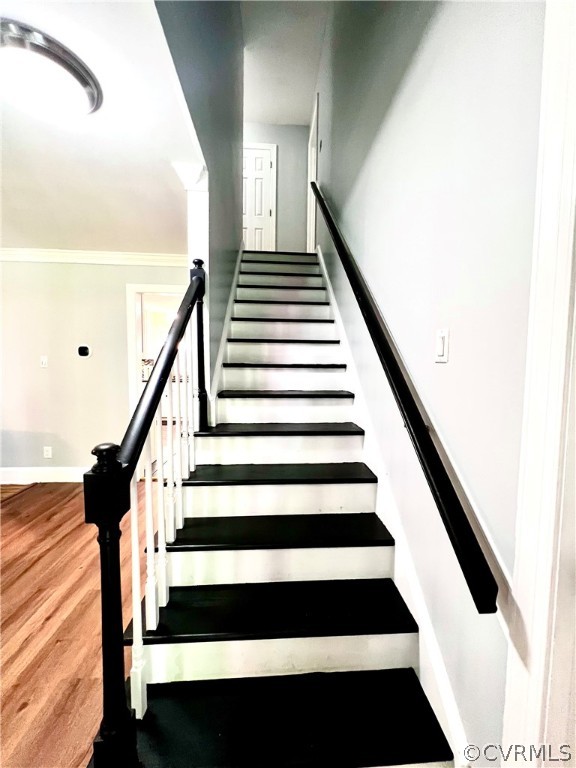 13604 Winterberry Rdg