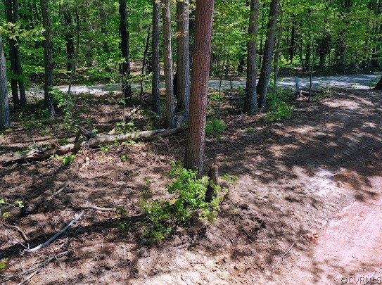 37 Whippoorwill Way