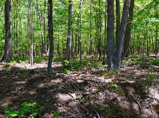 37 Whippoorwill Way