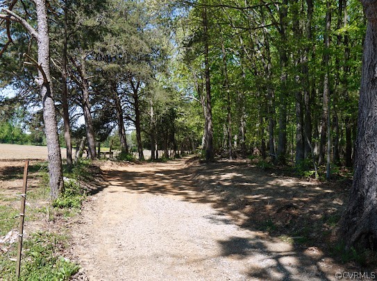 37 Whippoorwill Way