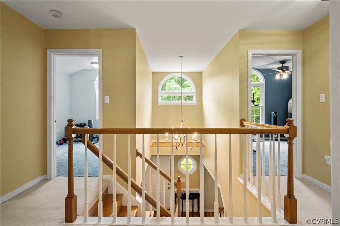 5303 Meadow Chase Rd