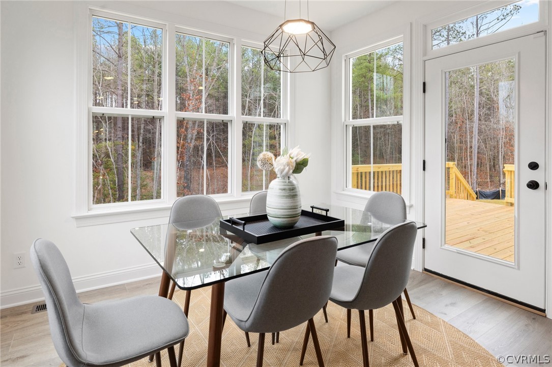 18548 Cove Creek Drive