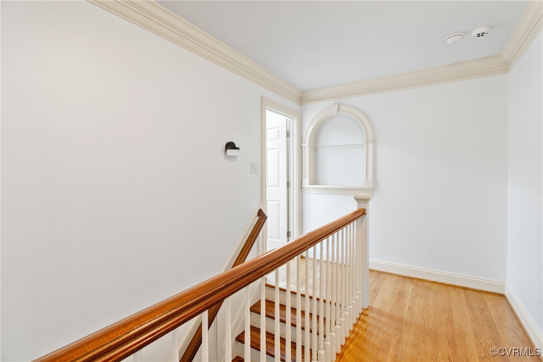 11436 Brant Hollow Ct