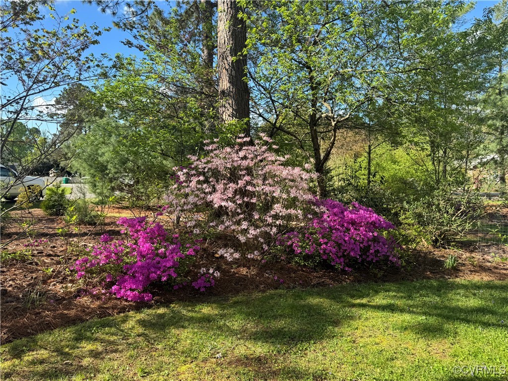 9072 Craney Island Rd